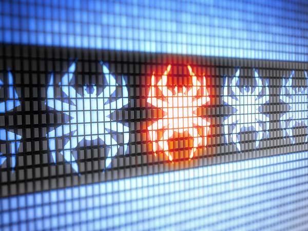 ద బ్రెయిన్ బూట్ సెక్టార్