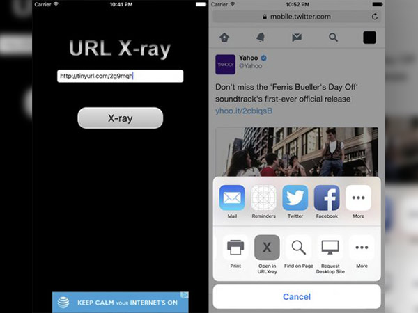  URL X-ray