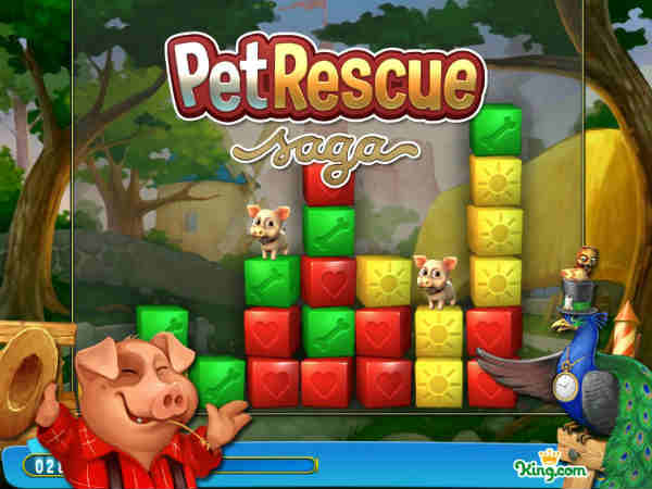 పెట్ రెస్క్యూ సాగా