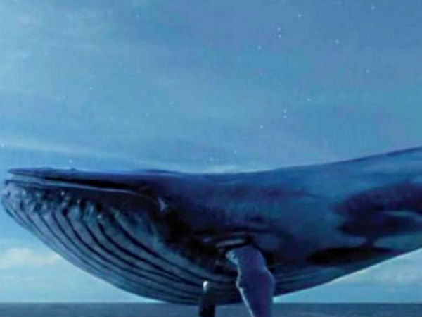 ఇంటి నుంచి పారిపోయి..