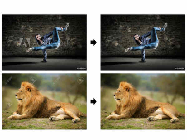 ఫోటోల పై వాటర్‌మార్క్స్ తీసేస్తున్న గూగుల్ సాఫ్ట్‌వేర్