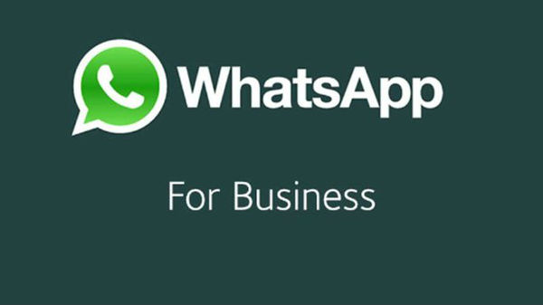 ఇప్పటికే బిజినెస్‌ సర్వీసులను..