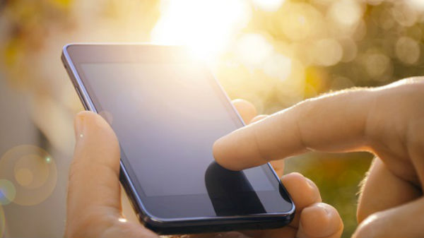 సూర్యకాంతి తగిలేలా పెట్టండి: