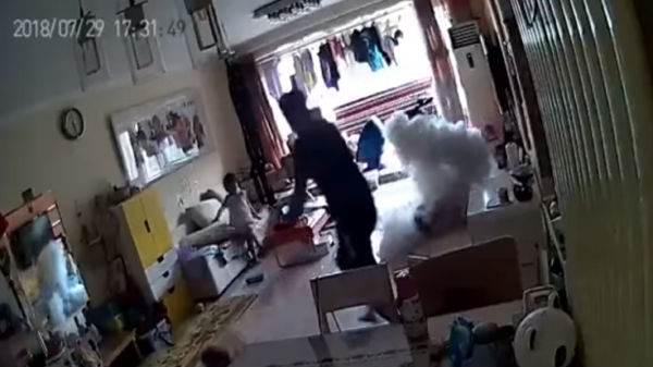 చైనాకు చెందిన ఓ వ్యక్తి..