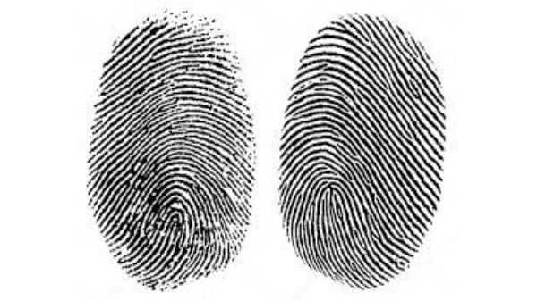 క్షణాల్లో వేలిముద్రలను సృష్టించవచ్చు.... 