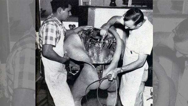 మనిషిని కోసి పడేశారా