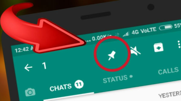 పిన్‌ చాట్ 