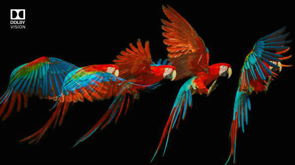 Best Small Smart TV: 