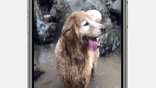 ఈ ఫీచర్ ను ఉపయోగించడం ఎలా ?