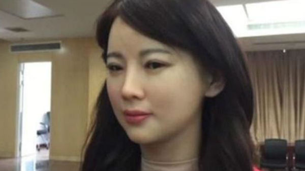 హ్యూమనాయిడ్ రోబోట్స్‌కు మరింత ప్రాచుర్యం..