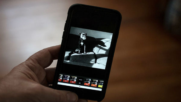 కలర్ అడ్జెస్ట్