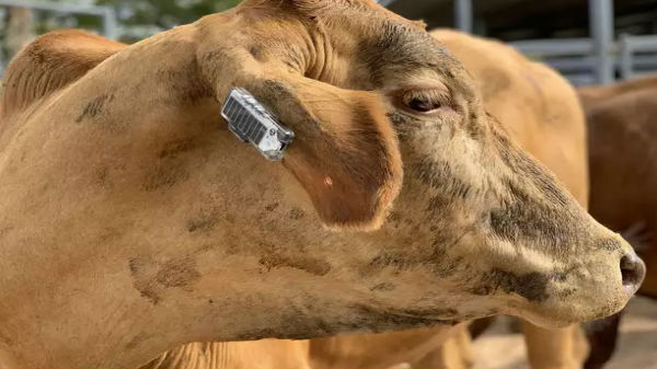 శాస్త్రవేత్తలు మరిన్ని ప్రయోగాలు చేసేందుకు...