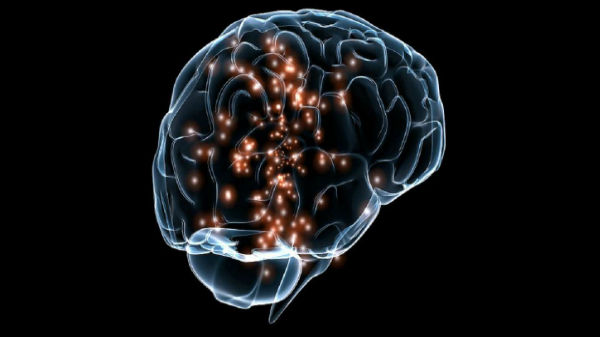 మానవుని మె దడులోని రహస్యాలను ఛేదించి...