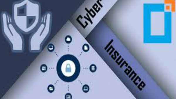 సైబర్ ఇన్సూరెన్స్ ఎవరు తీసుకోవచ్చు?