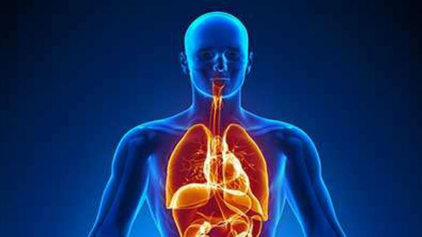 శరీరంలోని ఇతర భాగాలకు