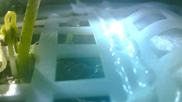 జీవసంబంధమైన పరిశోధనలు 