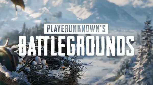 PUBG గేమ్ విద్యార్థుల చదువులపై కూడా