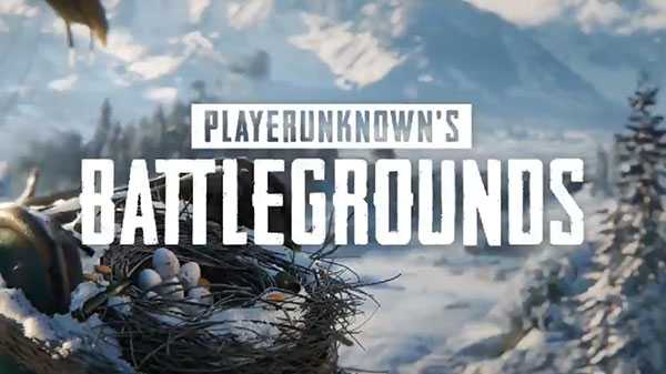 PUBG గేమ్‌ విద్యార్థుల చదువులపై కూడా 