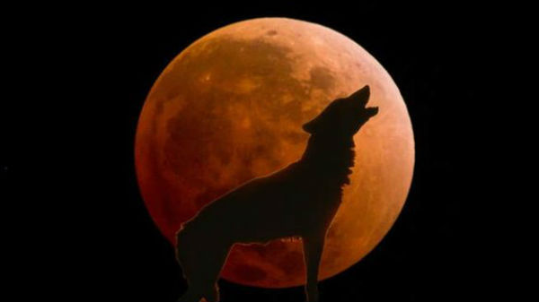 మూడు ఈవెంట్ల కలయిక