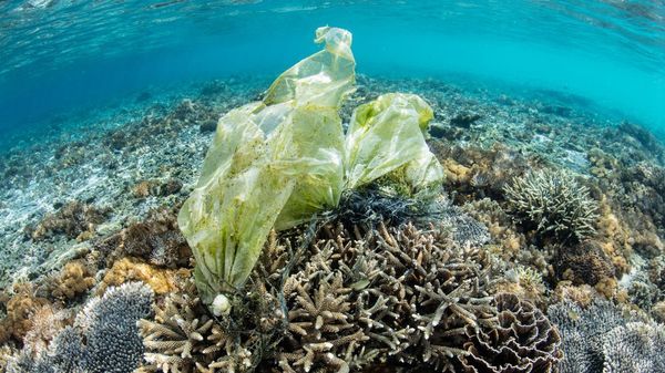  డ్యామేజికి ఆస్కారం లేదు