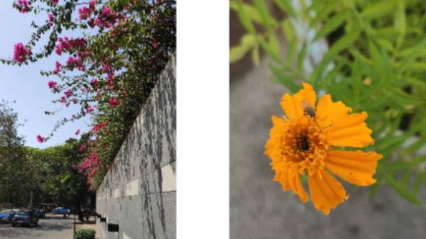 వెనుక భాగంలో 48 మెగాపిక్స‌ల్ భారీ కెపాసిటీ 