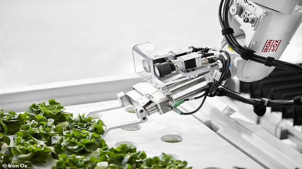 మార్కెట్‌ ధరకన్నా తక్కువకే విక్రయిస్తూ..