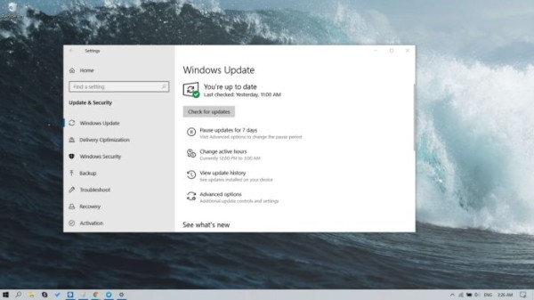 download and install the windows 10 may 2019 update