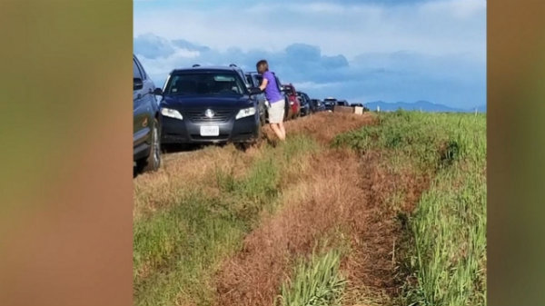 కాస్త దూరం వెళ్లాక రోడ్డంతా బురద మట్టితో