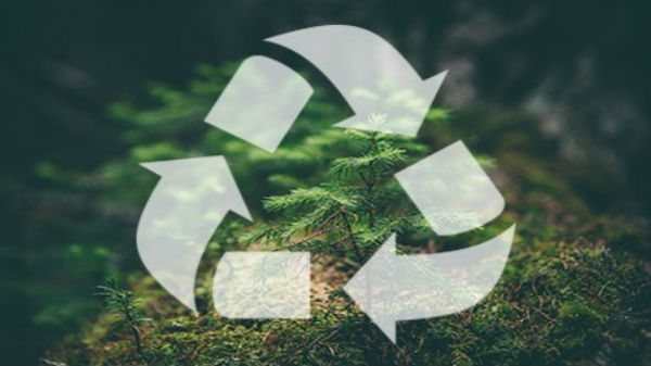 Google pledges carbon-neutral shipping