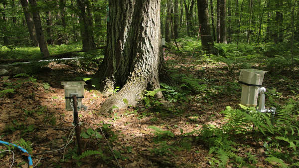 కంప్యూటర్తో అనుసంధానం