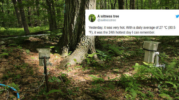  Tree Live Tweeting About Climate Change with scientists hep