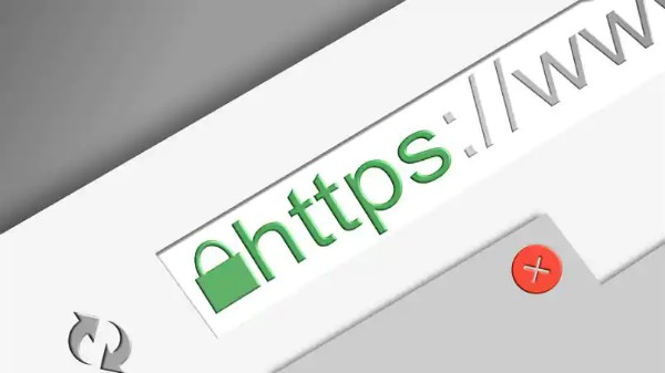 బ్యాక్ డోర్ 