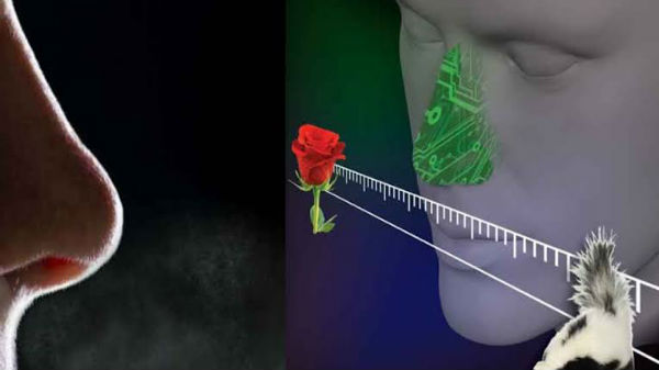 Electronic nose may soon become commercially available