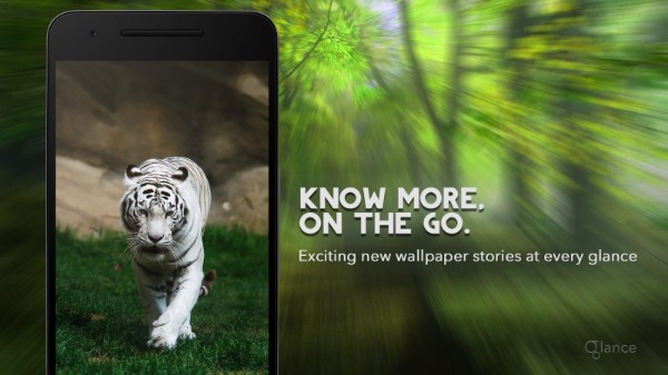 గ్లాన్స్ 