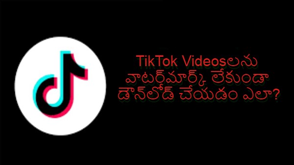 టిక్‌టాక్ వీడియో