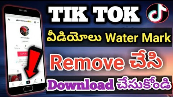 టిక్‌టాక్ వీడియో వాటర్‌మార్క్ 