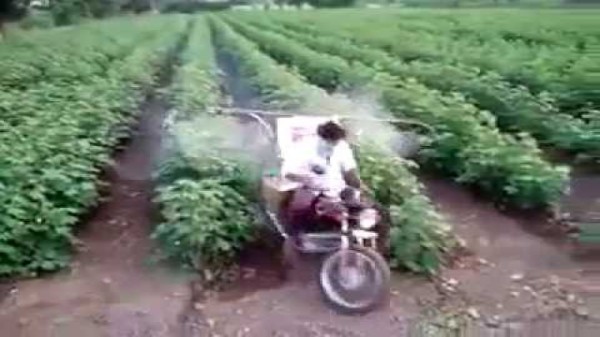 ఇండియాలో వ్యవసాయ సాంకేతిక నిపుణులు 