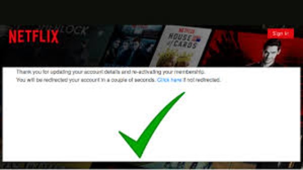 నెట్‌ఫ్లిక్స్ ఫిషింగ్ స్కామ్ వివరాలు 