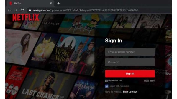 నెట్‌ఫ్లిక్స్ నకిలీ వెబ్‌సైట్