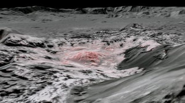 ఓషన్ వరల్డ్ సెరెస్‌