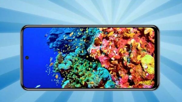 రెడ్‌మి నోట్ 9 ప్రో మాక్స్‌ 6.67-అంగుళాల IPS డిస్‌ప్లే