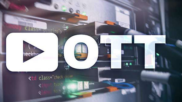 నివేదికలో