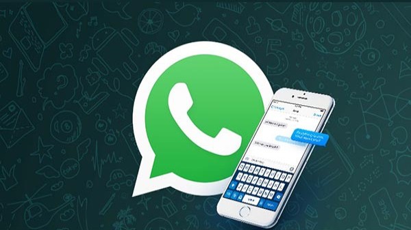 నిపుణులు