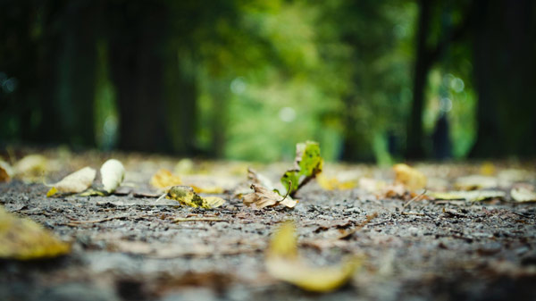 సన్నివేశాన్ని ఊహించుకోండి.