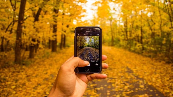 Using Smartphone How to Take Better Photos: Here are Tips & Tricks