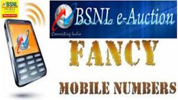 ఆన్‌లైన్ పోర్టల్ ద్వారా BSNL VIP నంబర్‌లు