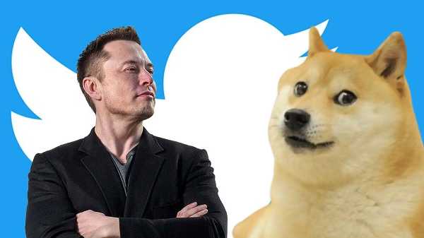 Elon Musk Changed Twitter Logo From Bluebird To Doge Meme. Complete Details Here.