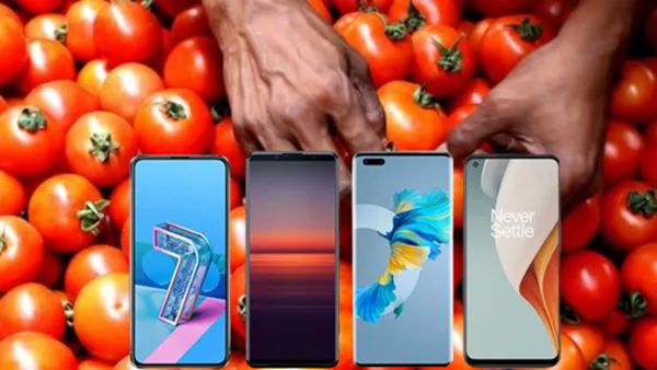 retailer offers 2kg tomatoes on mobile purchage