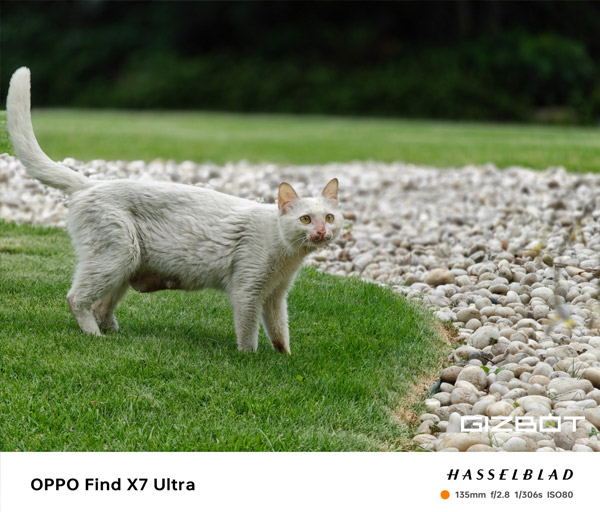 OPPO Find X7 Ultra Camera Deep-Dive