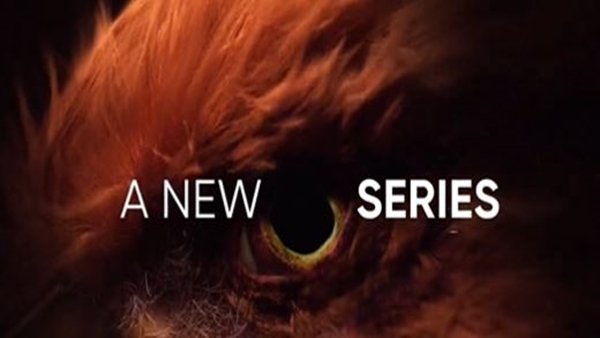 realme new smartphone teased